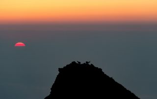 biancarelli_DSC5861-2