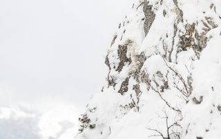 maurizio_biancarelli_003