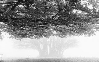 maurizio_biancarelli_b&w_02