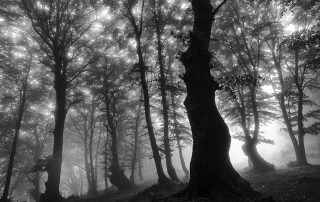 maurizio_biancarelli_b&w_04
