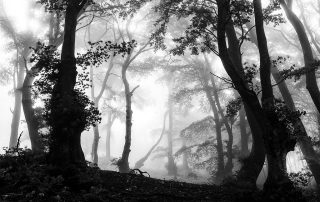 maurizio_biancarelli_b&w_07