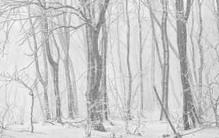 maurizio_biancarelli_b&w_13