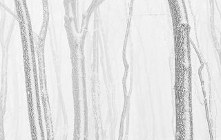 maurizio_biancarelli_b&w_14