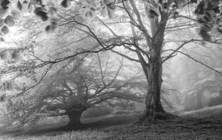 maurizio_biancarelli_b&w_23