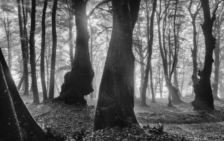 maurizio_biancarelli_b&w_28