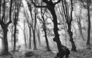maurizio_biancarelli_b&w_33