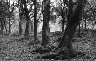 maurizio_biancarelli_b&w_35