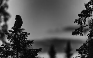 maurizio_biancarelli_b&w_39