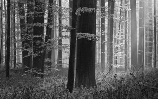 maurizio_biancarelli_b&w_43