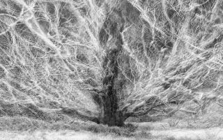 maurizio_biancarelli_b&w_45