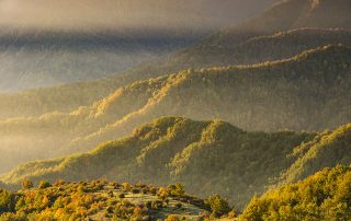 maurizio_biancarelli_foreste_09